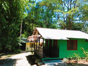 Corcovado Green Paradise